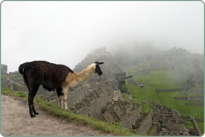 peru