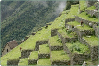 peru