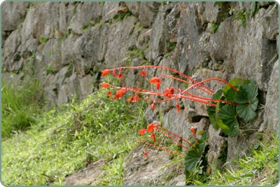 peru